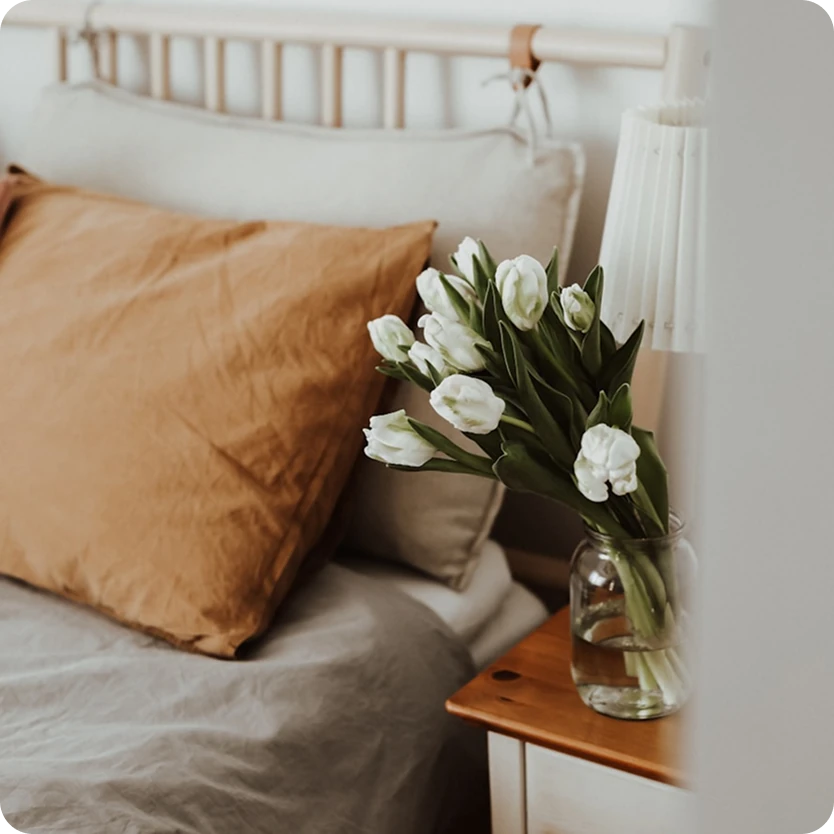 Entdecken Sie Palorio